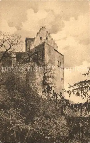 Riedenburg Altmuehltal Die Rosenburg Kat. Riedenburg