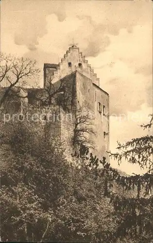 Riedenburg Altmuehltal Die Rosenburg Kat. Riedenburg