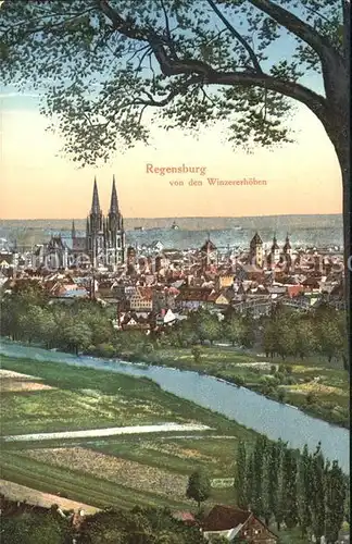 Regensburg Blick von den Winzererhoehen mit Dom / Regensburg /Regensburg LKR