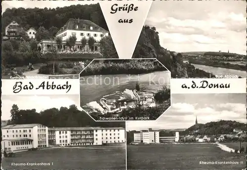 Bad Abbach Kurhaus Waldfrieden Schwanenteich Kurpark Panorama Rheumaklinik I und II Kat. Bad Abbach
