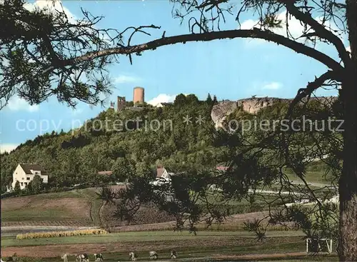 Neumarkt Oberpfalz Blick zur Burgruine Kat. Neumarkt i.d.OPf.