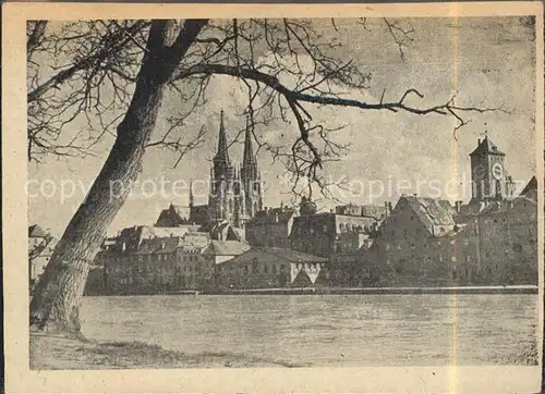 Regensburg Uferpartie mit Blick zum Dom St Peter Kirche / Regensburg /Regensburg LKR