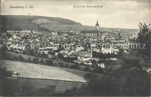 Annaberg Buchholz Erzgebirge Blick vom Schreckenberg Kat. Annaberg
