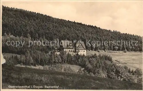 Oberwiesenthal Erzgebirge Eschenhof Kat. Oberwiesenthal