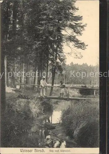 Weisser Hirsch Weg nach Uttersdorf Kat. Dresden