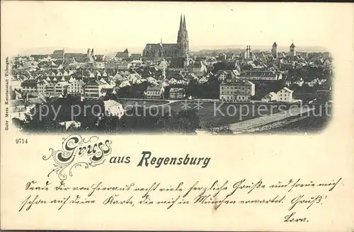Regensburg Stadtblick mit Dom / Regensburg /Regensburg LKR