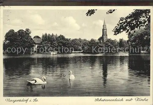 Neugersdorf Sachsen Schwanenteich mit Kirche Kat. Neugersdorf Sachsen