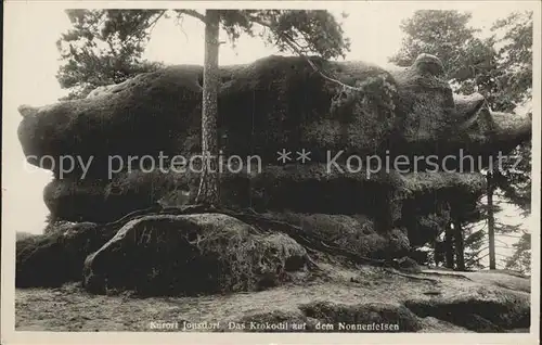 Jonsdorf das Krokodil auf dem Nonnenfelsen Kat. Kurort Jonsdorf