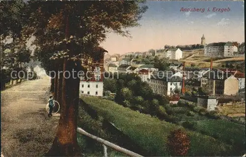 Annaberg Buchholz Erzgebirge Teilansicht Allee Kat. Annaberg