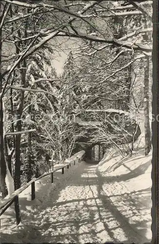 Oybin Winter im Zittauer Gebirge Burgtor auf dem Oybin Kat. Kurort Oybin