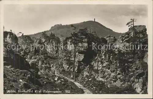 Oybin Hochwald von der Felsengasse Zittauer Gebirge Kat. Kurort Oybin