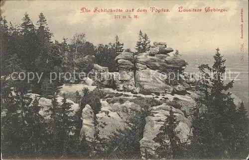 Oybin Schildkroete auf dem Toepfer Felsformation Lausitzer Gebirge Kat. Kurort Oybin