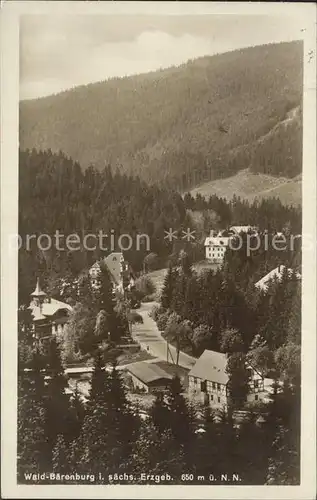 Waldbaerenburg Teilansicht Kat. Altenberg