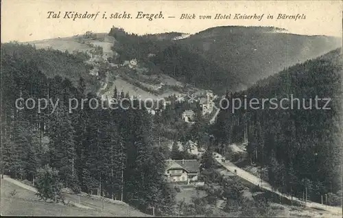 Baerenfels Erzgebirge Blick vom Hotel Kaiserhof ins Tal Kipsdorf Kat. Altenberg