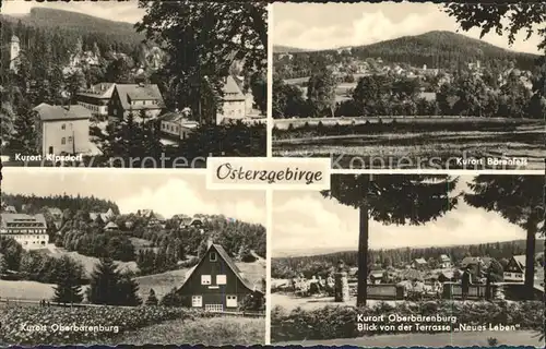 Baerenfels Erzgebirge Osterzgebirge Baerenburg Kipsdorf  Kat. Altenberg