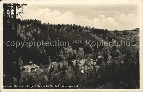 Kipsdorf Blick auf Fuerstenhofund Oberkipsdorf Kat. Altenberg