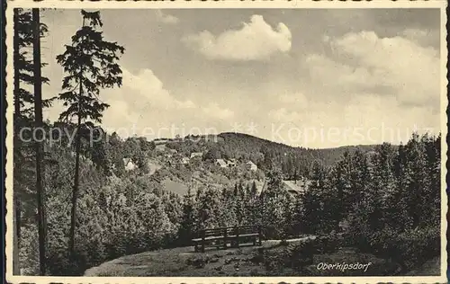 Kipsdorf Waldaussicht Kat. Altenberg