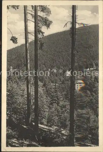 Kipsdorf Wald Kat. Altenberg