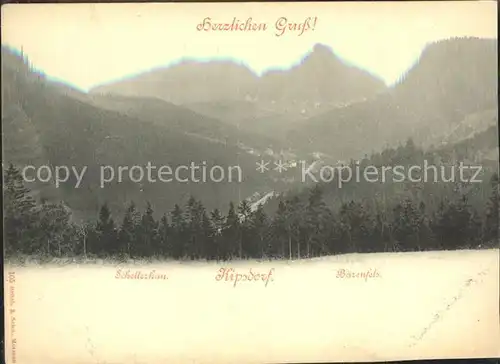 Kipsdorf Schellerhau Baerenfels Kat. Altenberg