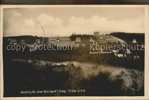 Kipsdorf Berghof Falkenhorst Kat. Altenberg