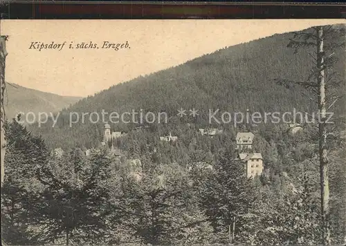 Kipsdorf Wald Kat. Altenberg