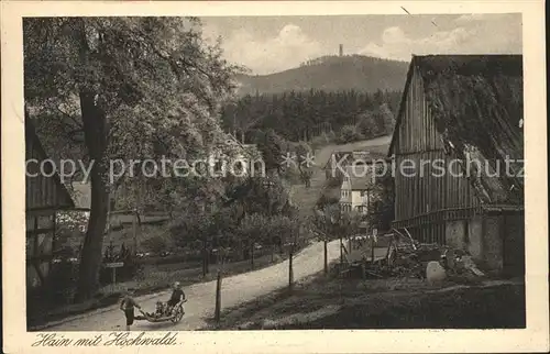 Hain Oybin Dorfpartie mit Blick zum Hochwald Aussichtsturm Serie Saechsische Heimatschutz Postkarten Kat. Kurort Oybin