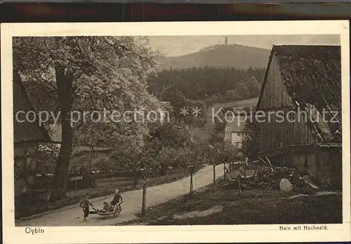 Hain Oybin Dorfpartie mit Blick zum Hochwald Serie Deutsche Heimatbilder Kat. Kurort Oybin