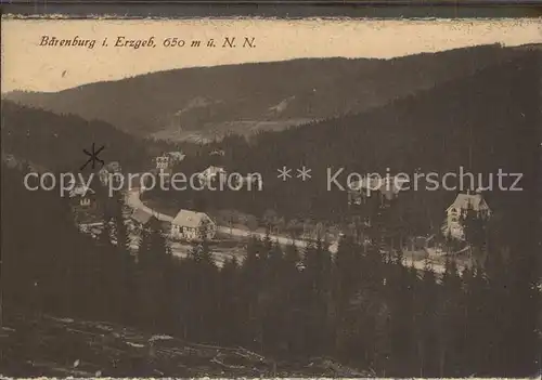 Baerenburg Sachsen Panorama Kat. Altenberg