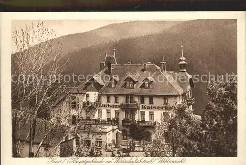 Kipsdorf Kurhaus Kaiserhof Hauptgebaeude Kat. Altenberg