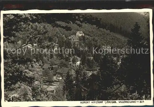 Kipsdorf Villenkolonie Kurort Erzgebirge Kat. Altenberg