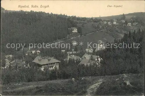 Kipsdorf Teilansicht mit Blick nach Oberkipsdorf Englers Postkarte Kat. Altenberg