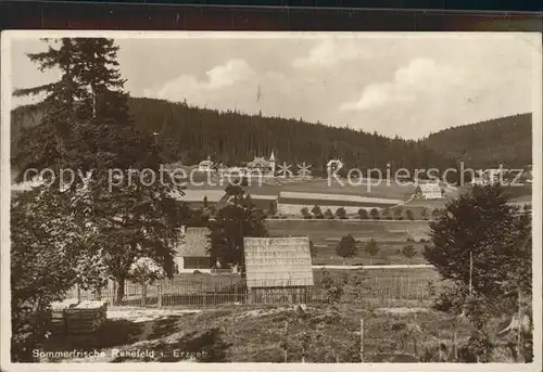 Rehefeld Zaunhaus Panorama Sommerfrische Kat. Altenberg