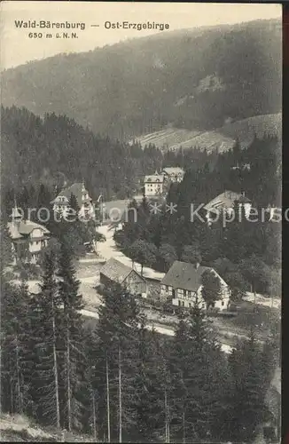 Waldbaerenburg Talblick Kat. Altenberg