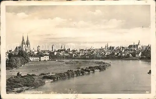 Regensburg Partie an der Donau mit Blick zum Dom St Peter / Regensburg /Regensburg LKR