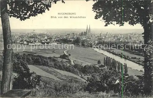 Regensburg Panorama Blick von den Winzerhoehen / Regensburg /Regensburg LKR