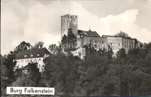 Falkenstein Oberpfalz Burg Kat. Falkenstein