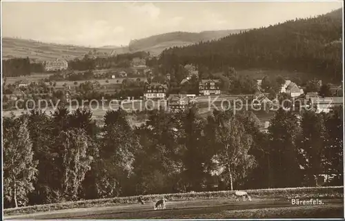 Baerenfels Erzgebirge Panorama Kurort Trinks Postkarte Kat. Altenberg