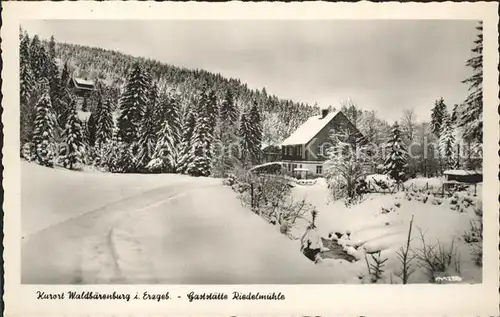 Waldbaerenburg Gaststaette Riedelmuehle Kurort im Winter Kat. Altenberg