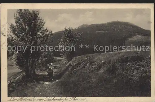 Lueckendorf Hochwald vom Lueckendorfer Flur gesehen Serie Saechsische Heimatschutz Postkarten Kat. Kurort Oybin