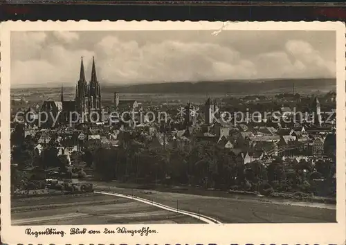 Regensburg Panorama Blick von Winzerhoehen Dom St Peter / Regensburg /Regensburg LKR
