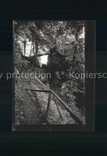 Falkenstein Oberpfalz Pfad im Schlosspark Kat. Falkenstein