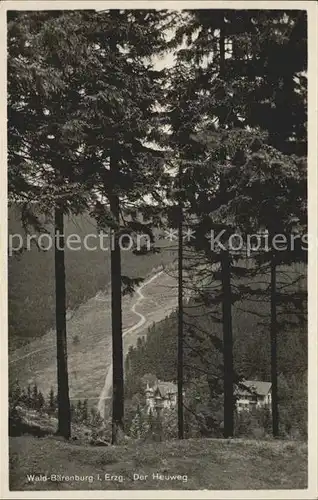 Baerenburg Sachsen Der Heuweg Kat. Altenberg