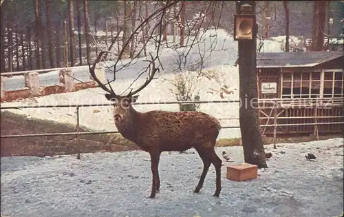 Langebrueck Heidemuehle Hirsch Hans Kat. Dresden