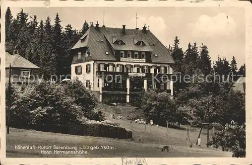 Baerenburg Sachsen Hotel Hermannshoehe Kat. Altenberg