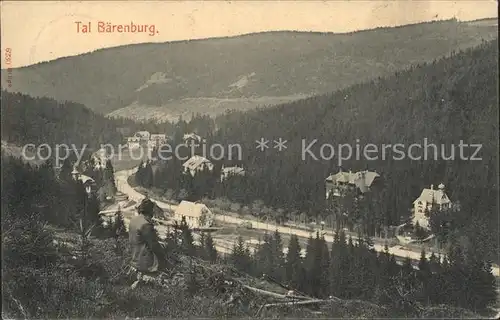 Baerenburg Sachsen Tal Baerenburg Kat. Altenberg