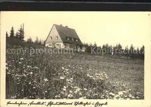 Schellerhau Fremdenheim Fernblick Kat. Altenberg