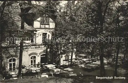 Borsberg Schoenfeld Weissig Bergwirtschaft Kat. Dresden