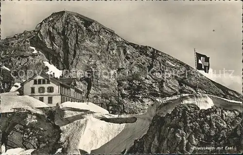 Pilatus Kulm Berghotel mit Esel Schweizer Flagge Kat. Pilatus Kulm