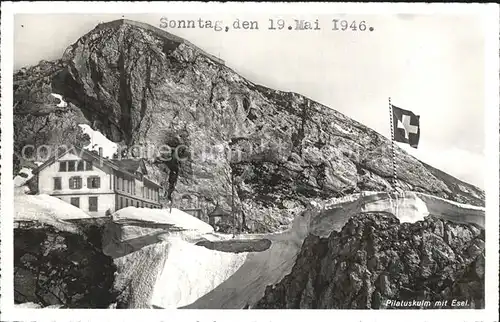 Pilatus Kulm Berghotel mit Esel Schweizer Flagge Kat. Pilatus Kulm