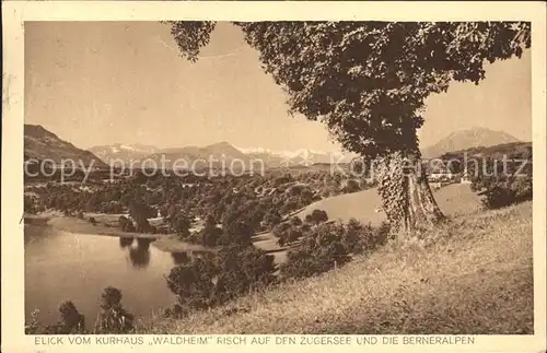 Risch Blick vom Kurhaus Waldheim auf den Zugersee und die Berneralpen Kat. Risch